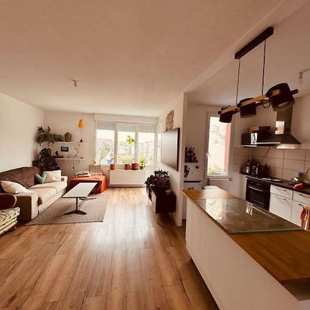 Bel Appartement Proche Mulhouse Pfastatt Екстер'єр фото