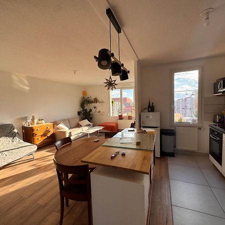 Bel Appartement Proche Mulhouse Pfastatt Екстер'єр фото