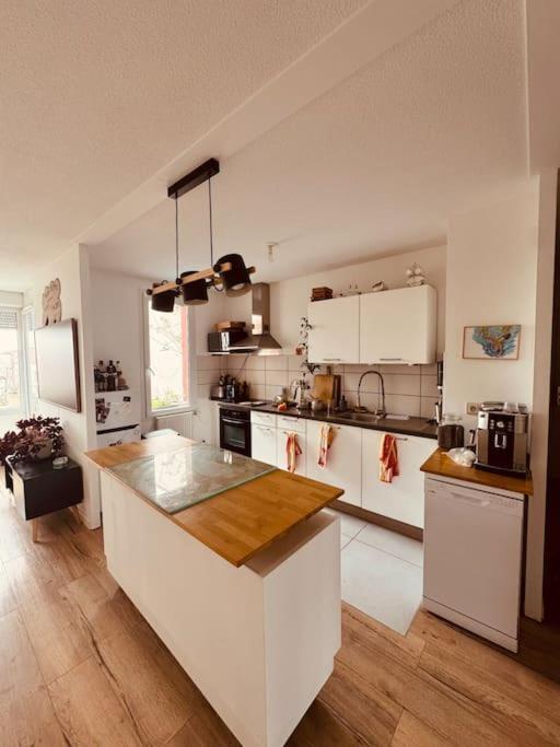 Bel Appartement Proche Mulhouse Pfastatt Екстер'єр фото