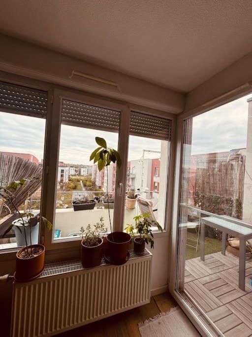 Bel Appartement Proche Mulhouse Pfastatt Екстер'єр фото